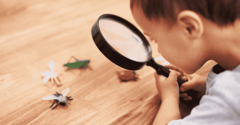 Preventing and Treating Bed Bug Bites in Children – Pediatric Home Care and When to Call the Doctor